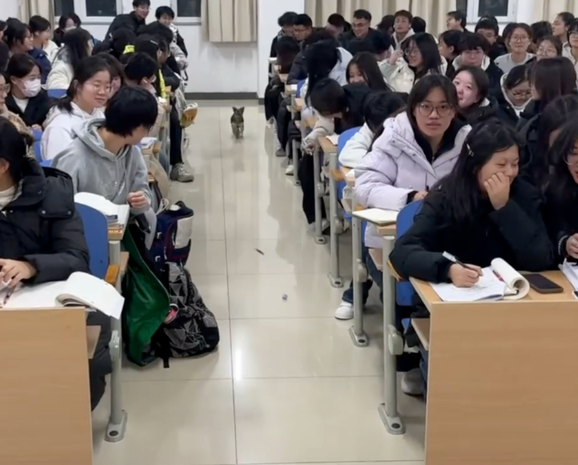 依托心思健康教育的科学方法增强思维政治教育的感染力与实效性